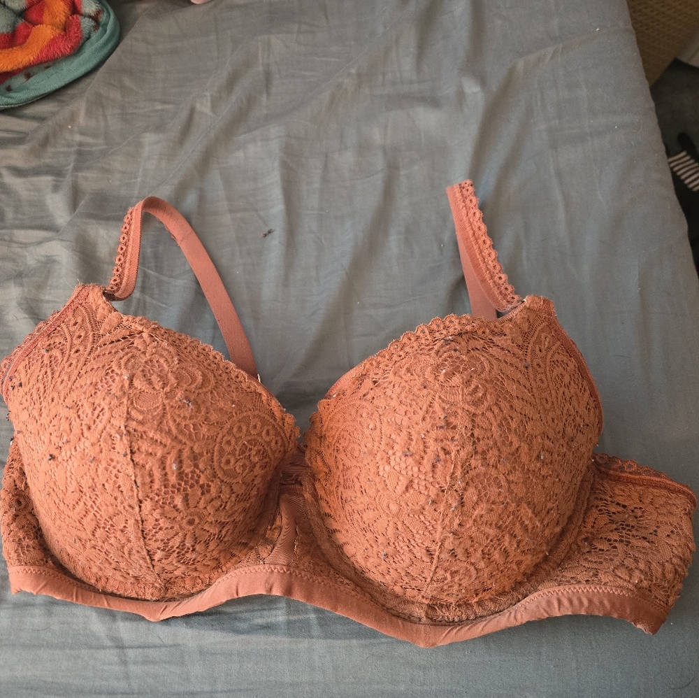 Aerie Lace Bra in Warm Terracotta